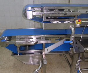 Food Conveyor System