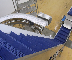 Food Conveyor System