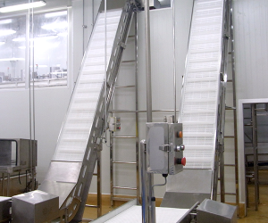 Food Conveyor System