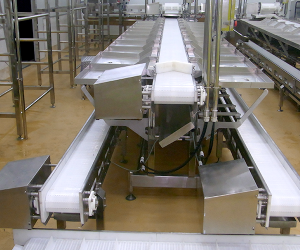 Food Conveyor System