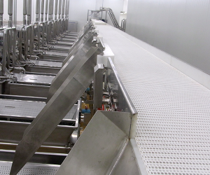 Food Conveyor System