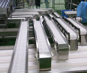 Food Conveyor System