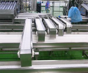 Food Conveyor System