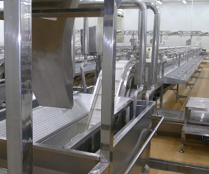 Food Conveyor System