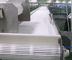 Food Conveyor System