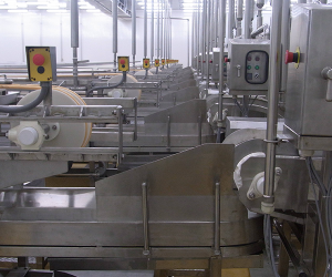 Food Conveyor System