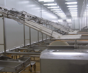 Food Conveyor System