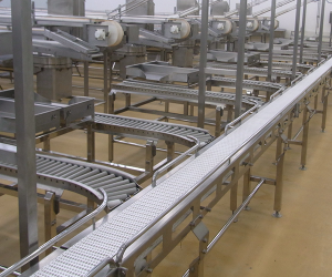 Food Conveyor System