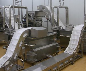 Food Conveyor System