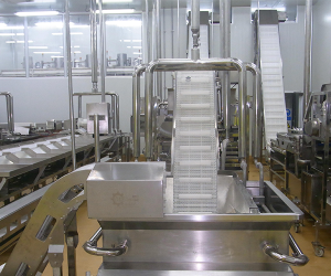 Food Conveyor System