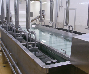 Food Conveyor System