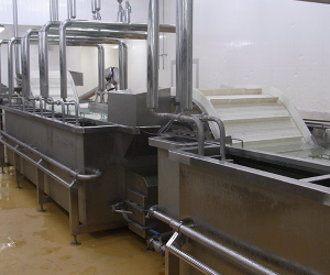 Food Conveyor System