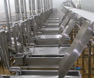 Food Conveyor System