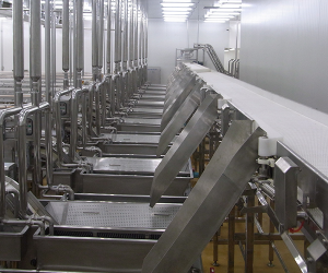 Food Conveyor System
