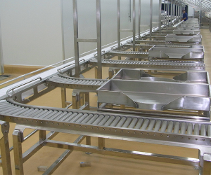 Food Conveyor System