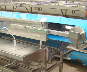 Belt Conveyor pvc, pu, silicone Belt Conveyor