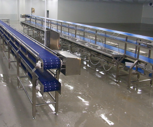 Belt Conveyor pvc, pu, silicone Belt Conveyor