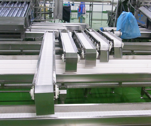 Modular Belt Conveyor