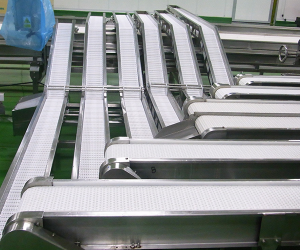 Modular Belt Conveyor