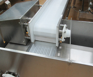 Modular Belt Conveyor