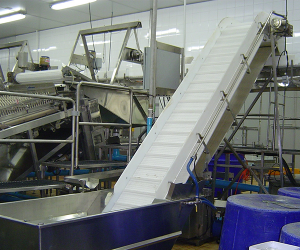 Modular Belt Conveyor