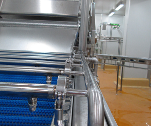 Modular Belt Conveyor