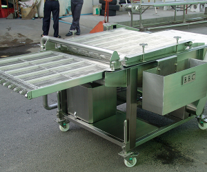 Wire Belt Conveyor