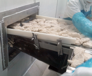 Wire Belt Conveyor