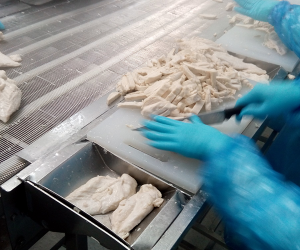 Wire Belt Conveyor