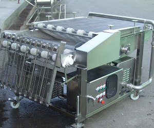 Wire Belt Conveyor
