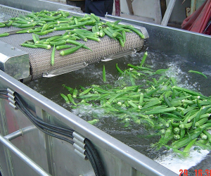 Wire Belt Conveyor