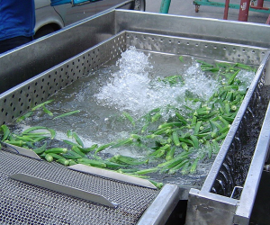 Wire Belt Conveyor