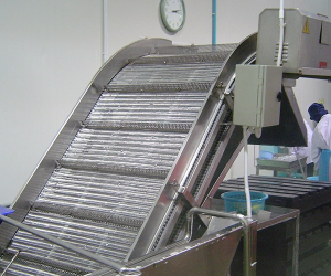Wire Belt Conveyor