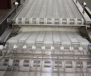 Wire Belt Conveyor