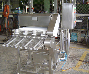 Wire Belt Conveyor