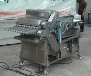 Food Conveyor Machine