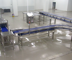 Food Conveyor Machine