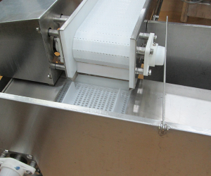 Food Conveyor Machine