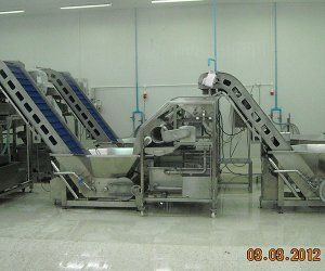 Food Conveyor Machine