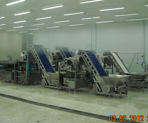 Food Conveyor Machine