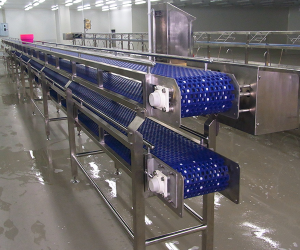 Food Conveyor Machine