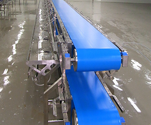 Food Conveyor Machine