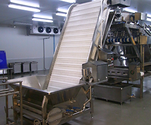 Food Conveyor Machine