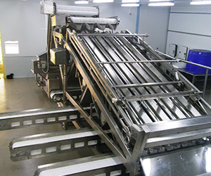 Food Conveyor Machine