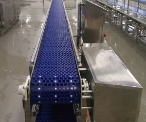 Food Conveyor Machine