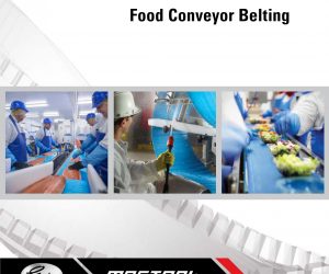 Food Conveyor Belting