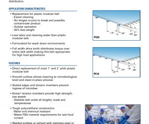 Food Conveyor Belting