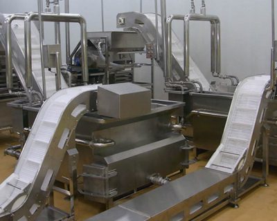 Food Conveyor System