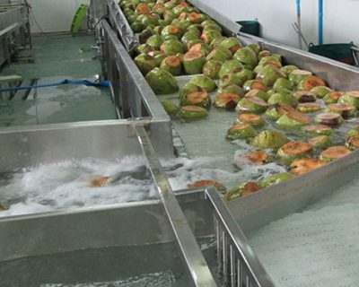 Food Conveyor Machine